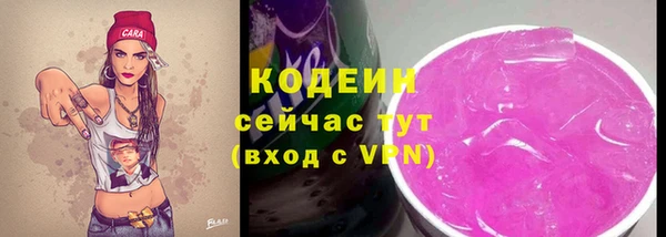 твердый Надым