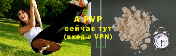 твердый Надым