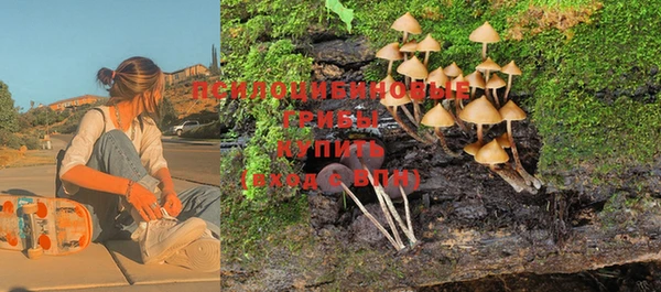твердый Надым